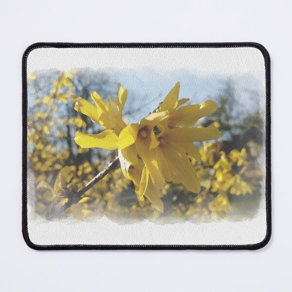Item preview, Happy spring vibrant forsythias Digital Watercolor original artwork designed and sold by paragonDesign28.
