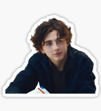 Timothée Chalamet Lady Vogel Sticker