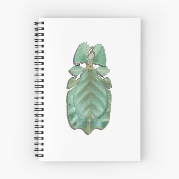 Item preview, Walking leaf insect specimen designed and sold by mezeianna.