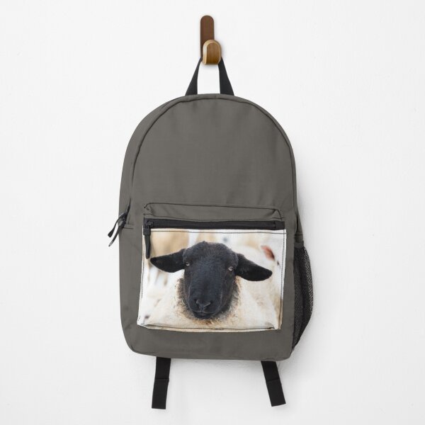 Item preview, Suffolk Sheep Portrait designed and sold by Jane Stanley Photography.