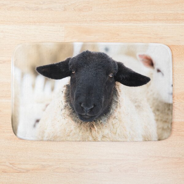 Item preview, Suffolk Sheep Portrait designed and sold by Jane Stanley Photography.