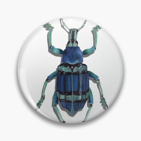 Item preview, Blue snout beetle weevil  designed and sold by mezeianna.