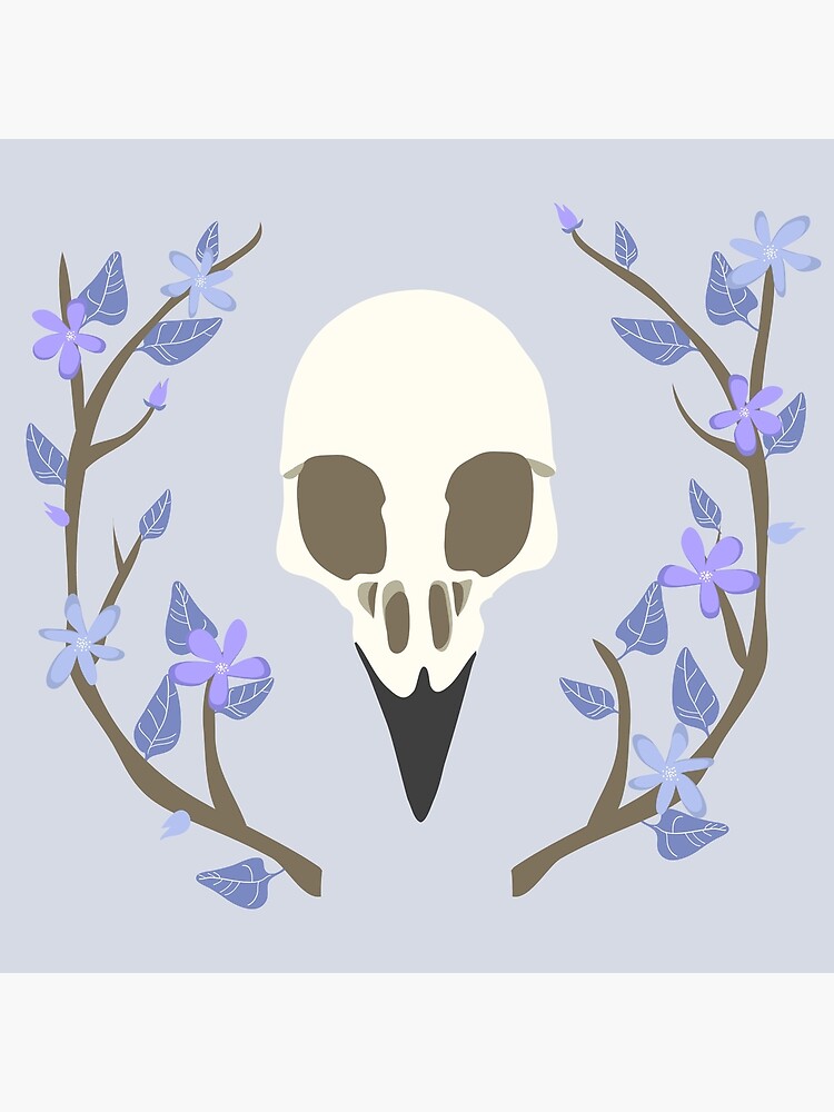 Bird Skull by jbott