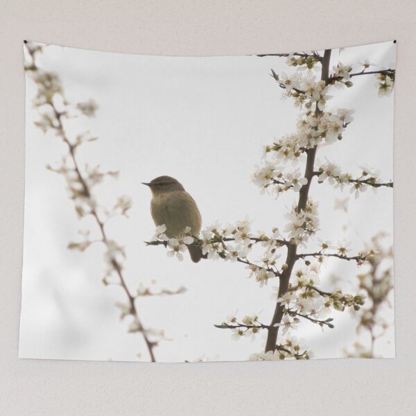 Item preview, Chiffchaff designed and sold by distracted.