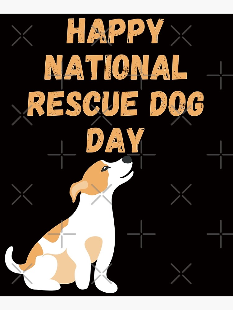 Cat Rescue Happy Days Dog Tails Pet Rescue Happy Tails Cat Rescue