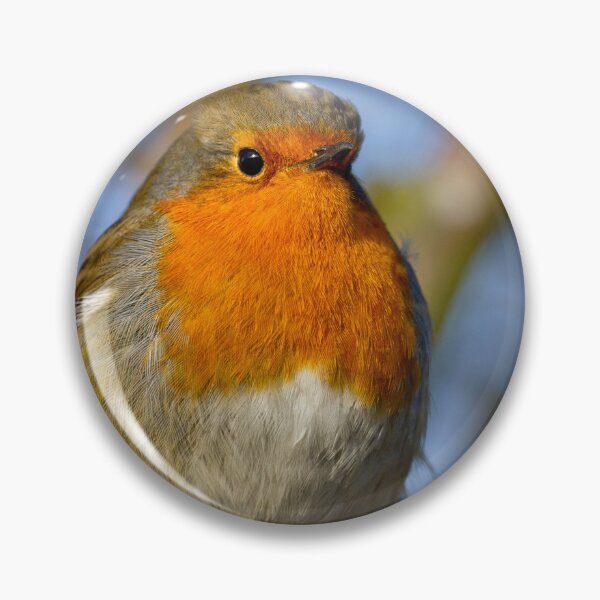 Item preview,  Robin in winter sunshine designed and sold by Violaman.