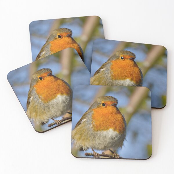 Item preview,  Robin in winter sunshine designed and sold by Violaman.