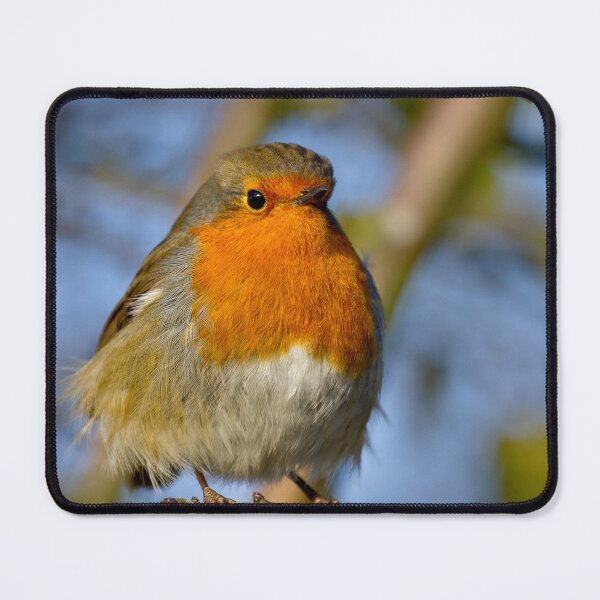 Item preview,  Robin in winter sunshine designed and sold by Violaman.
