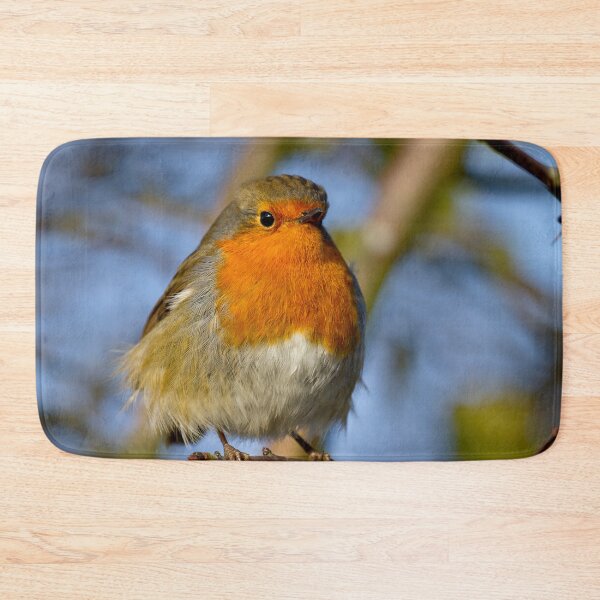 Item preview,  Robin in winter sunshine designed and sold by Violaman.