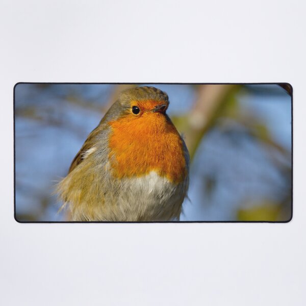 Item preview,  Robin in winter sunshine designed and sold by Violaman.