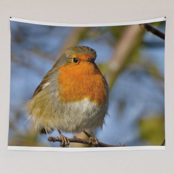 Item preview,  Robin in winter sunshine designed and sold by Violaman.