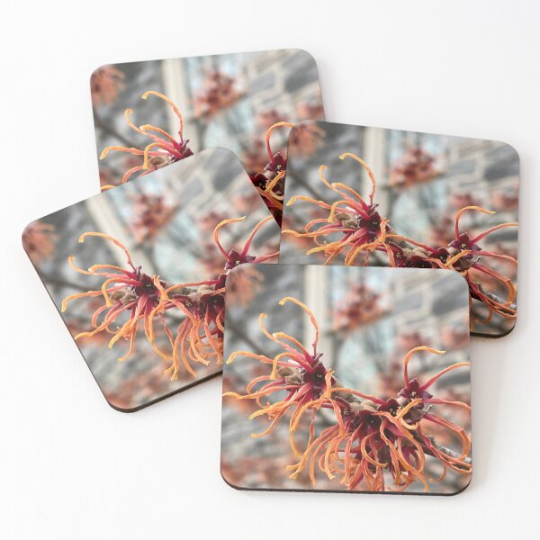 Item preview, Witch Hazel by the KINSC designed and sold by Pisces-Pics.