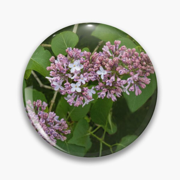 Item preview, First Lilacs of the Season designed and sold by Gerda Grice Photography.