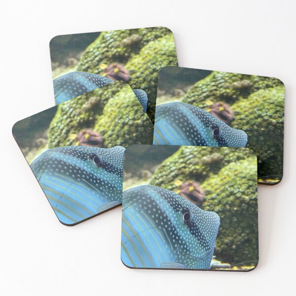 Item preview, Red Sea Sailfin Tang designed and sold by Pisces-Pics.