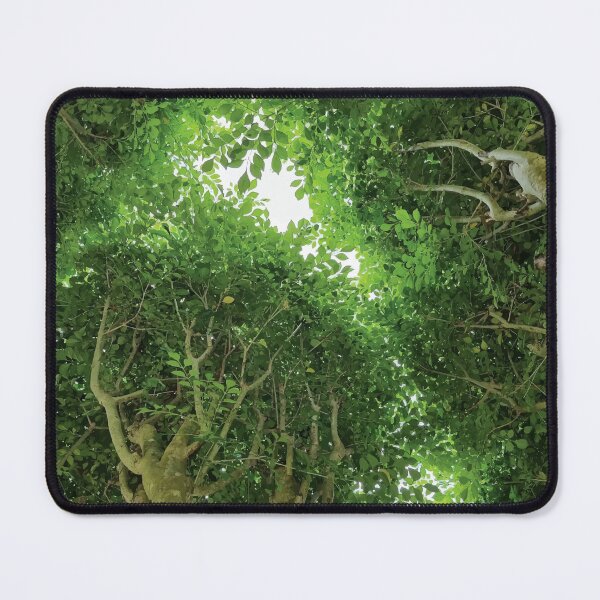 Item preview, Mount Coot-tha Botanic Gardens designed and sold by OCNau.