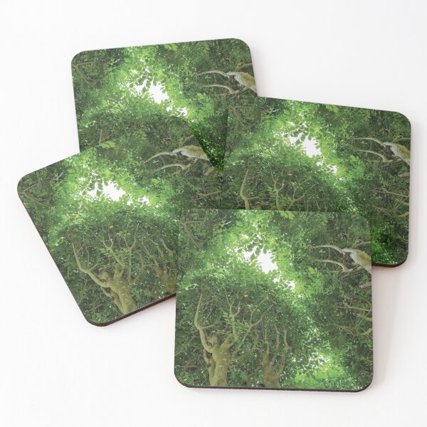 Item preview, Mount Coot-tha Botanic Gardens designed and sold by OCNau.