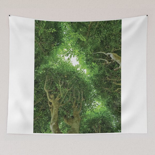 Item preview, Mount Coot-tha Botanic Gardens designed and sold by OCNau.