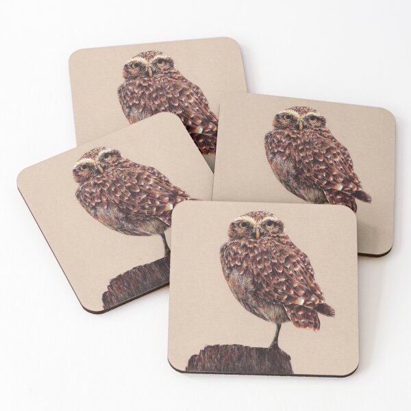 Item preview, Pygmy owl bird illustration designed and sold by Adam Wróbel.