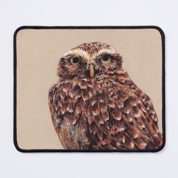 Item preview, Pygmy owl bird illustration designed and sold by Adam Wróbel.