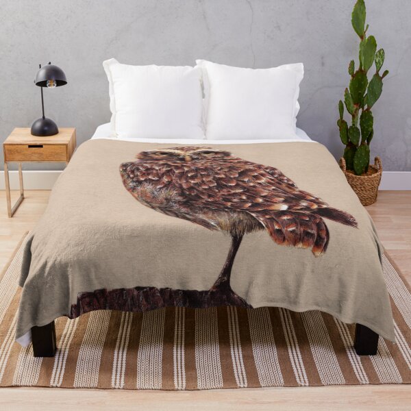 Item preview, Pygmy owl bird illustration designed and sold by Adam Wróbel.