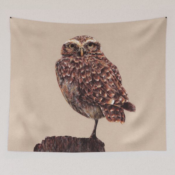 Item preview, Pygmy owl bird illustration designed and sold by Adam Wróbel.