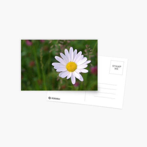 Open my heart Postcard