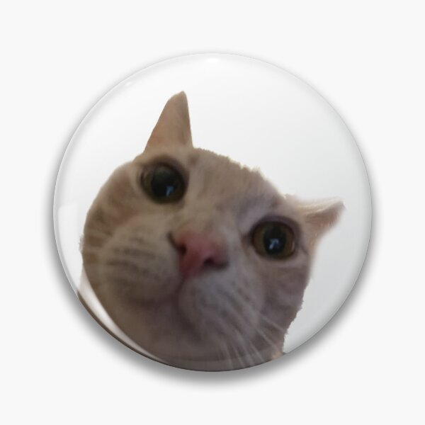 Item preview, my cat aletheia designed and sold by Benjamincc22.