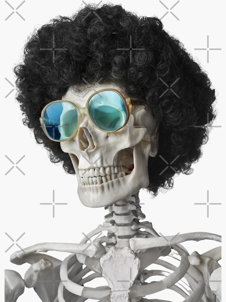 Skeleton in Sunglasses and Wig