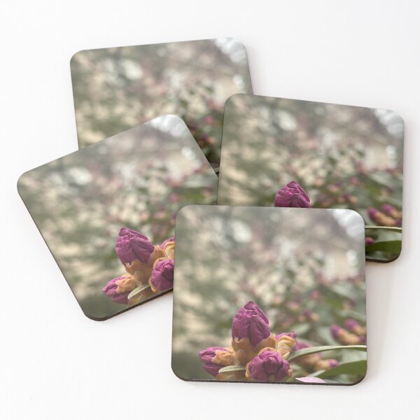 Item preview, Founders Hall Spring designed and sold by Pisces-Pics.