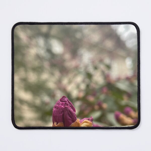 Item preview, Founders Hall Spring designed and sold by Pisces-Pics.