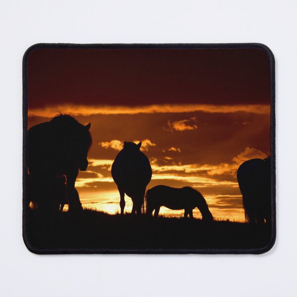 Item preview, Icelandic horses in the midnight sun designed and sold by elisainiceland.