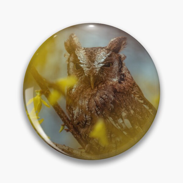 Item preview, grumpy owl designed and sold by maddysixess.