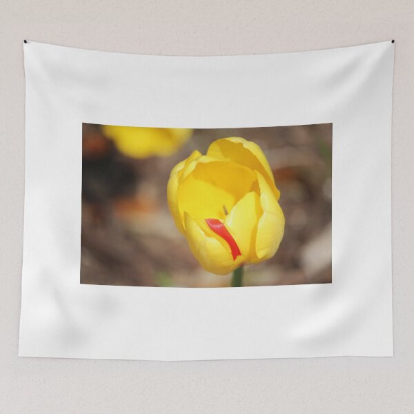 Item preview, Yellow Tulip With Red Stripe designed and sold by Cynthia48.