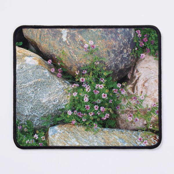 Item preview, Flowers Growing Around Rocks designed and sold by RoseyElisabeth.