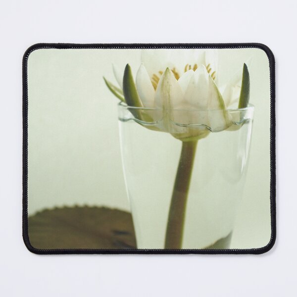 Item preview, Water lily in glass designed and sold by Julia Pärnänen.