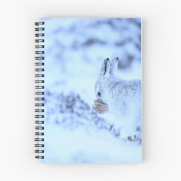 Item preview, lepus timidus (mountain hare) covered in snow designed and sold by chanonry.