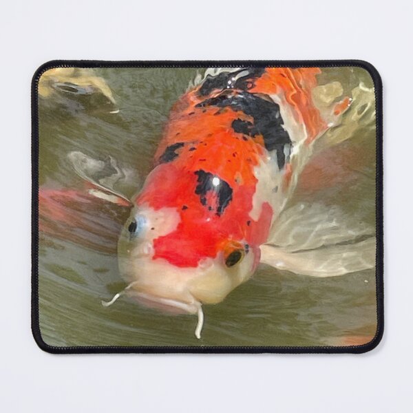 Item preview, Disgruntled Koi Fish designed and sold by Pisces-Pics.