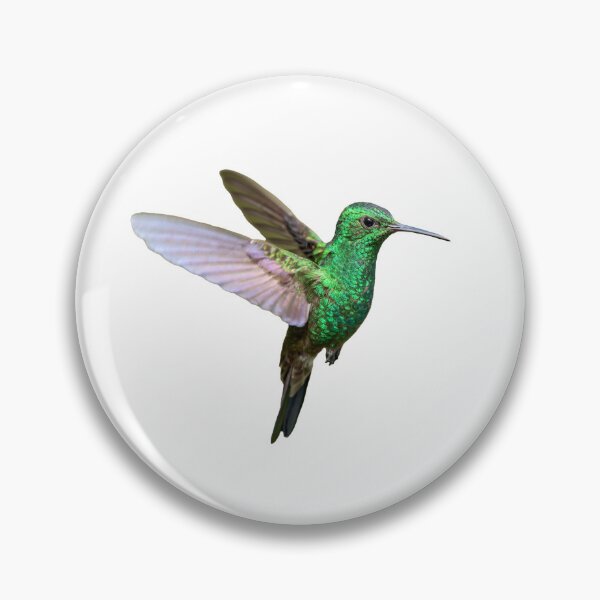 Item preview, Sparkling copper rump hummingbird designed and sold by Rachel Lee Young - Land of the Hummingbird.