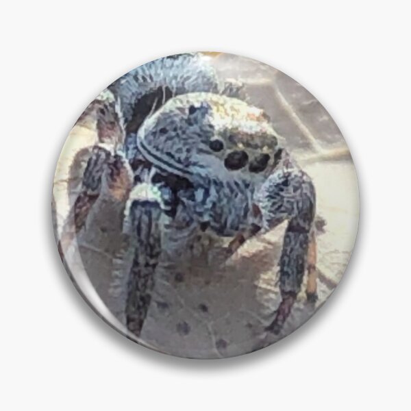 Item preview, Autumn Spider designed and sold by Pisces-Pics.