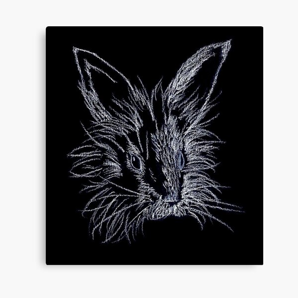 White on Black Lionhead Rabbit Portrait Canvas Print