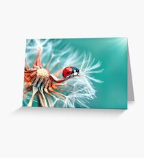MACRO Greeting Card