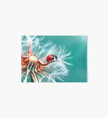 MACRO Art Board