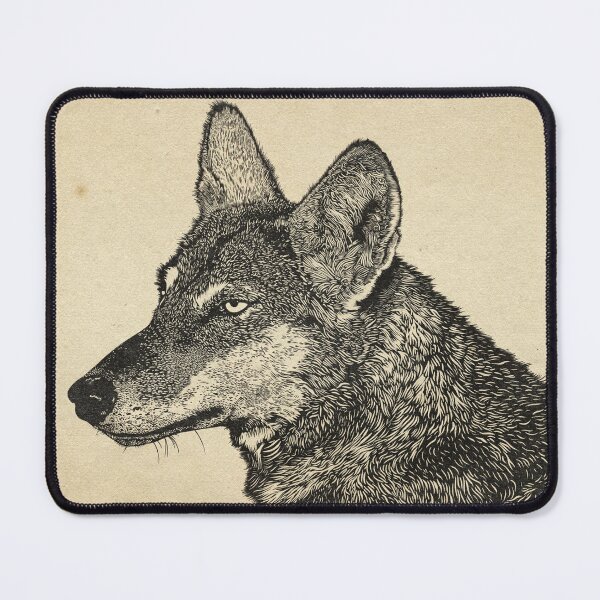 Item preview, Akela the Wolf Illustration - From The Jungle Book by Rudyard Kipling designed and sold by Jarrod Hall Art.
