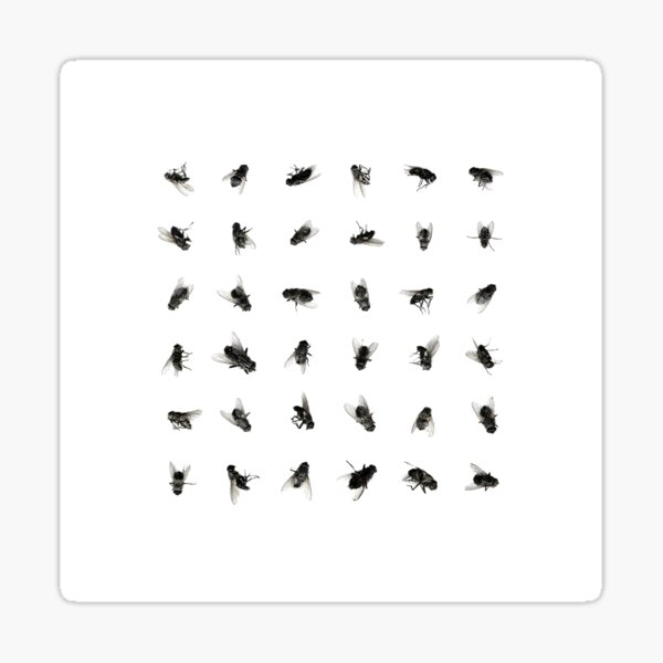 36 Dead Flies Sticker