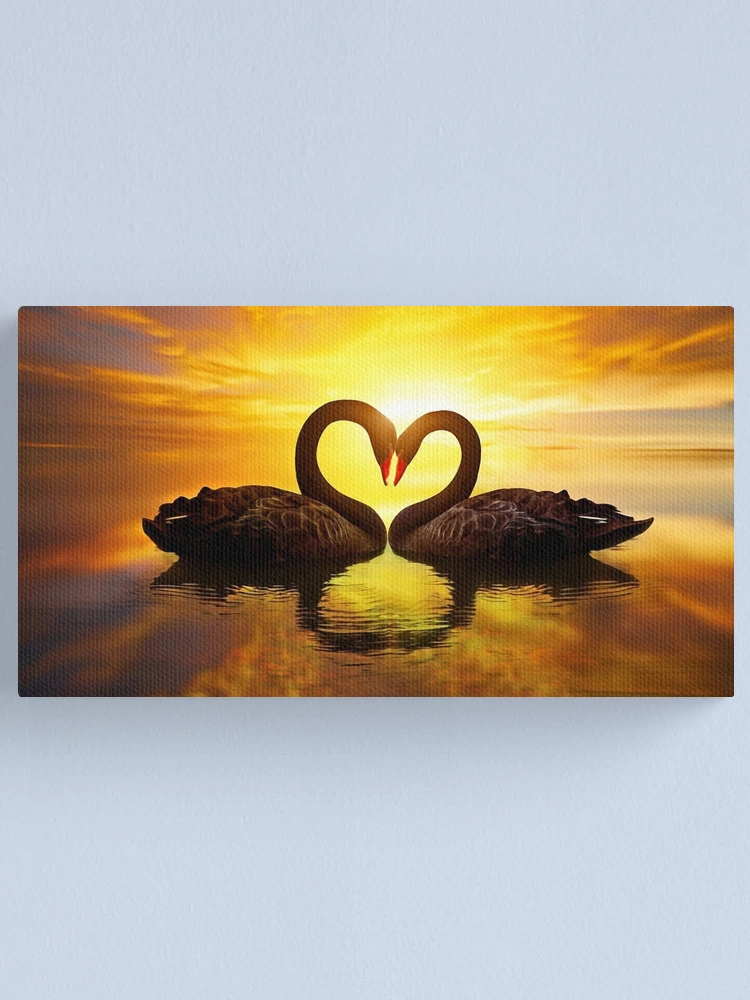 Love Has No Boundaries Heart Shapes Swans Canvas Inspirational