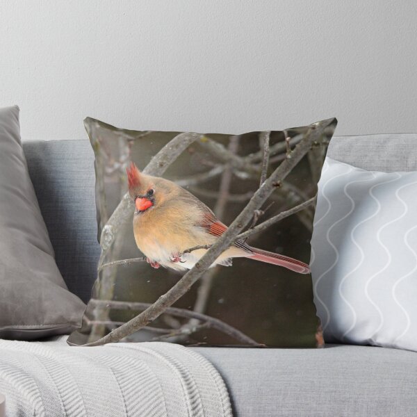 Item preview, Not In The Mood designed and sold by Debbie Oppermann.