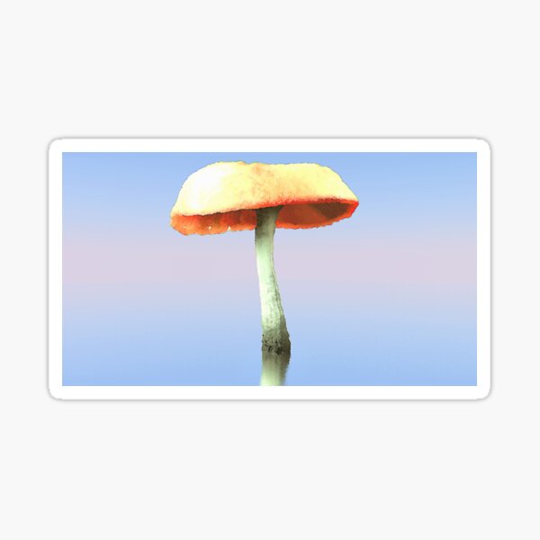 Pastel Horizon and Mushroom Sticker
