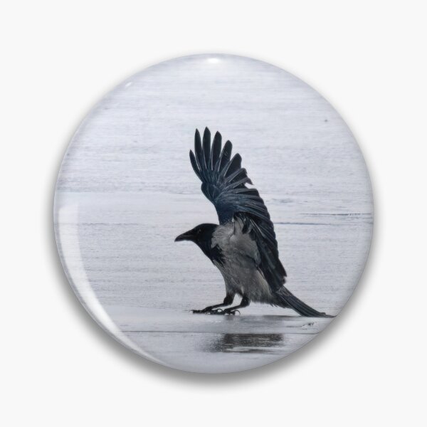 Item preview, Slipping and sliding. Hooded crow designed and sold by Jouko Lehto Photography.