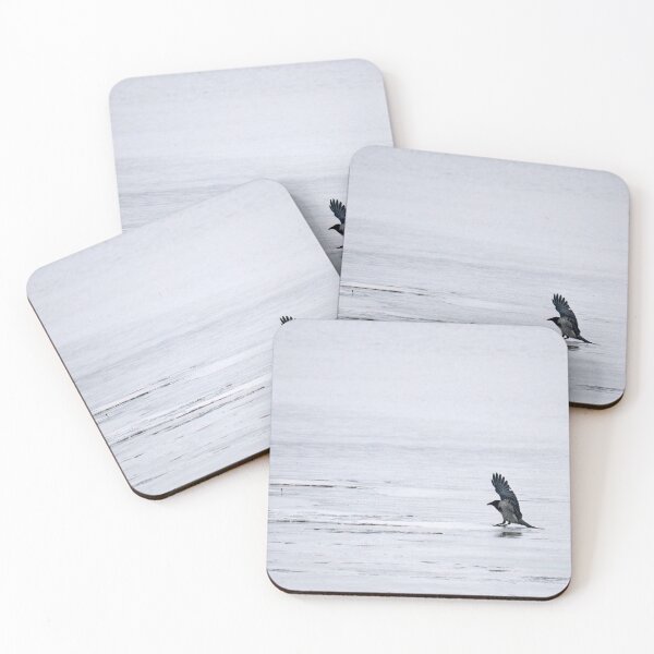 Item preview, Slipping and sliding. Hooded crow designed and sold by Jouko Lehto Photography.