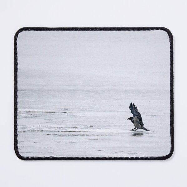 Item preview, Slipping and sliding. Hooded crow designed and sold by Jouko Lehto Photography.